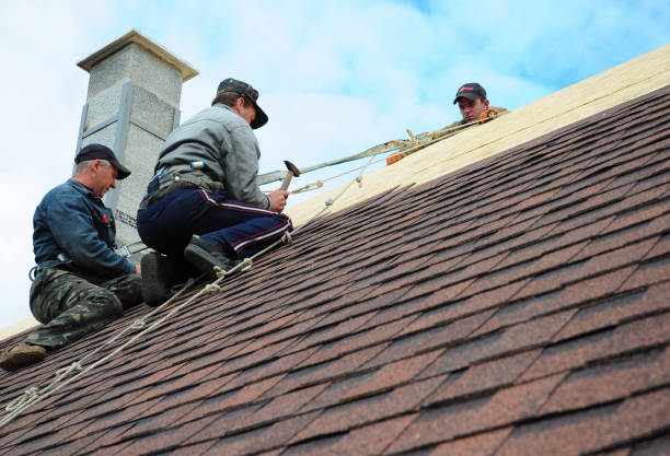 Best Affordable Roofing Company  in Fowlerville, MI